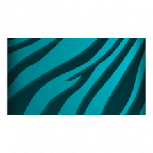Zebra (Banners)